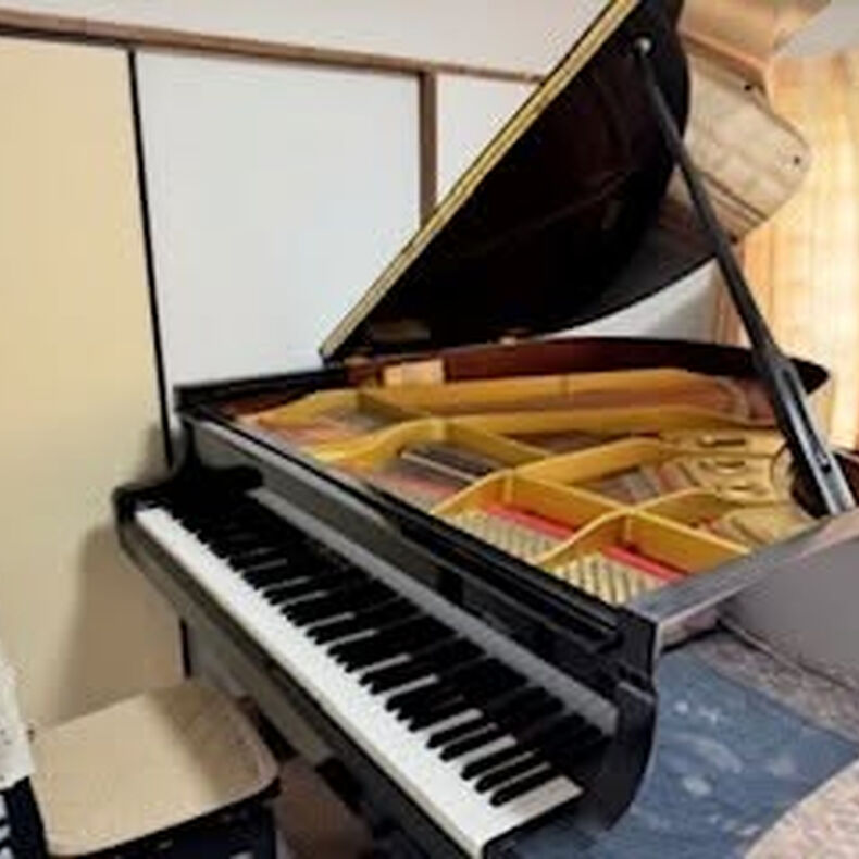 画像2729：音楽の心を育てます🎹
