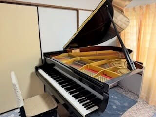 音楽の心を育てます🎹